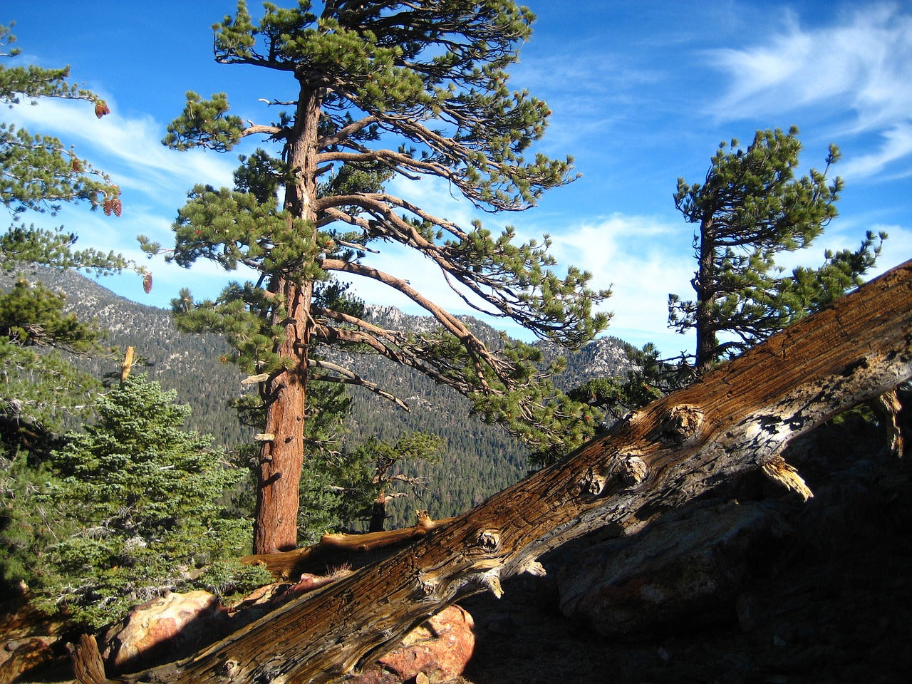 san jacinto, devils slide, trail-570915.jpg