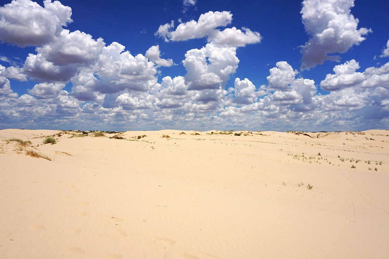 sand dune, sandhills, monahans-5451755.jpg