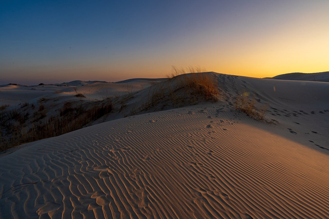sand, dunes, desert-7060228.jpg