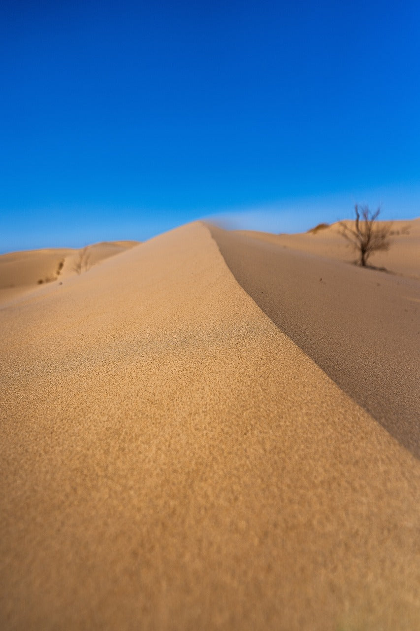 sand, dunes, wind-7060237.jpg