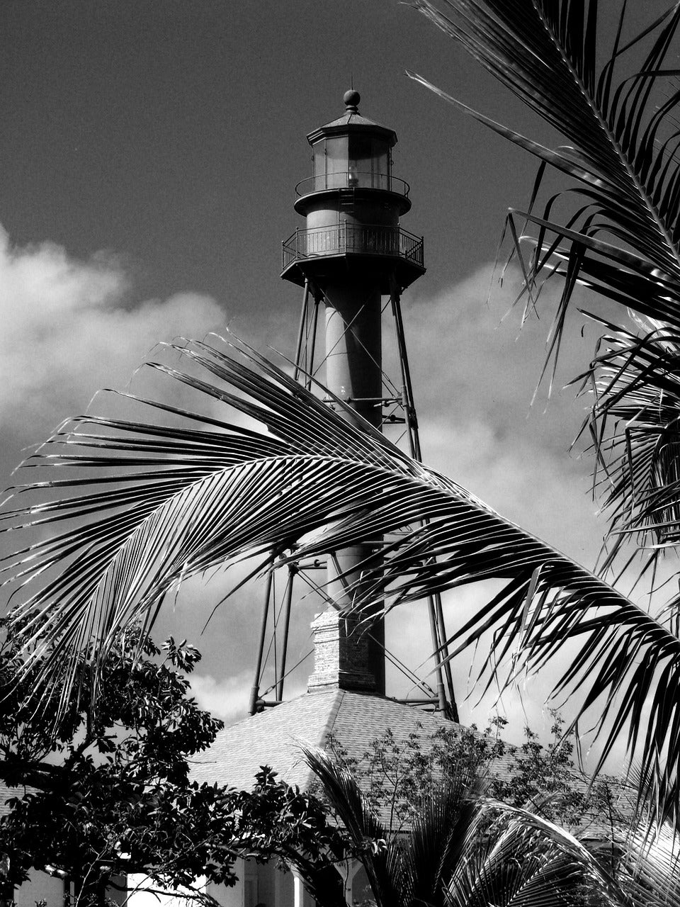 sanibel, lighthouse, palm-191071.jpg