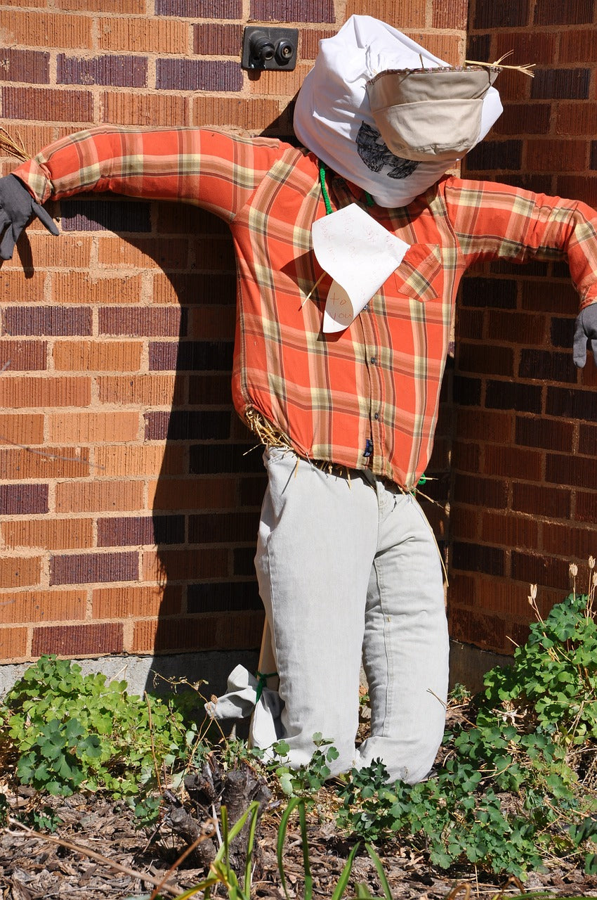 scarecrow, brick, dickinson state university-715389.jpg