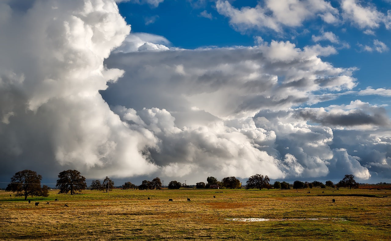 sky, clouds, cloudscape-1594377.jpg