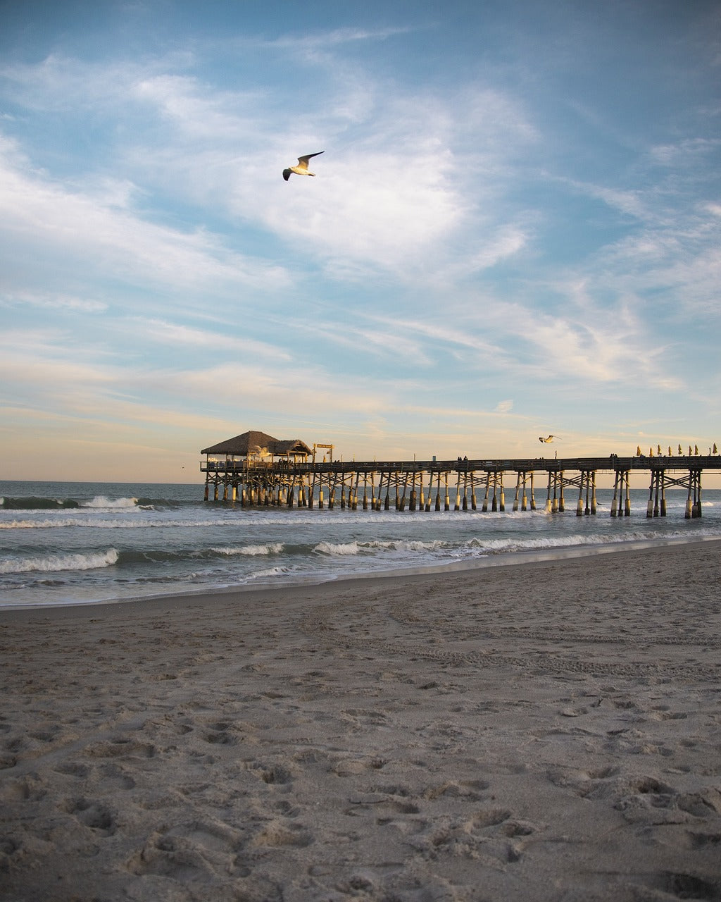 sky, nature, florida-5084311.jpg