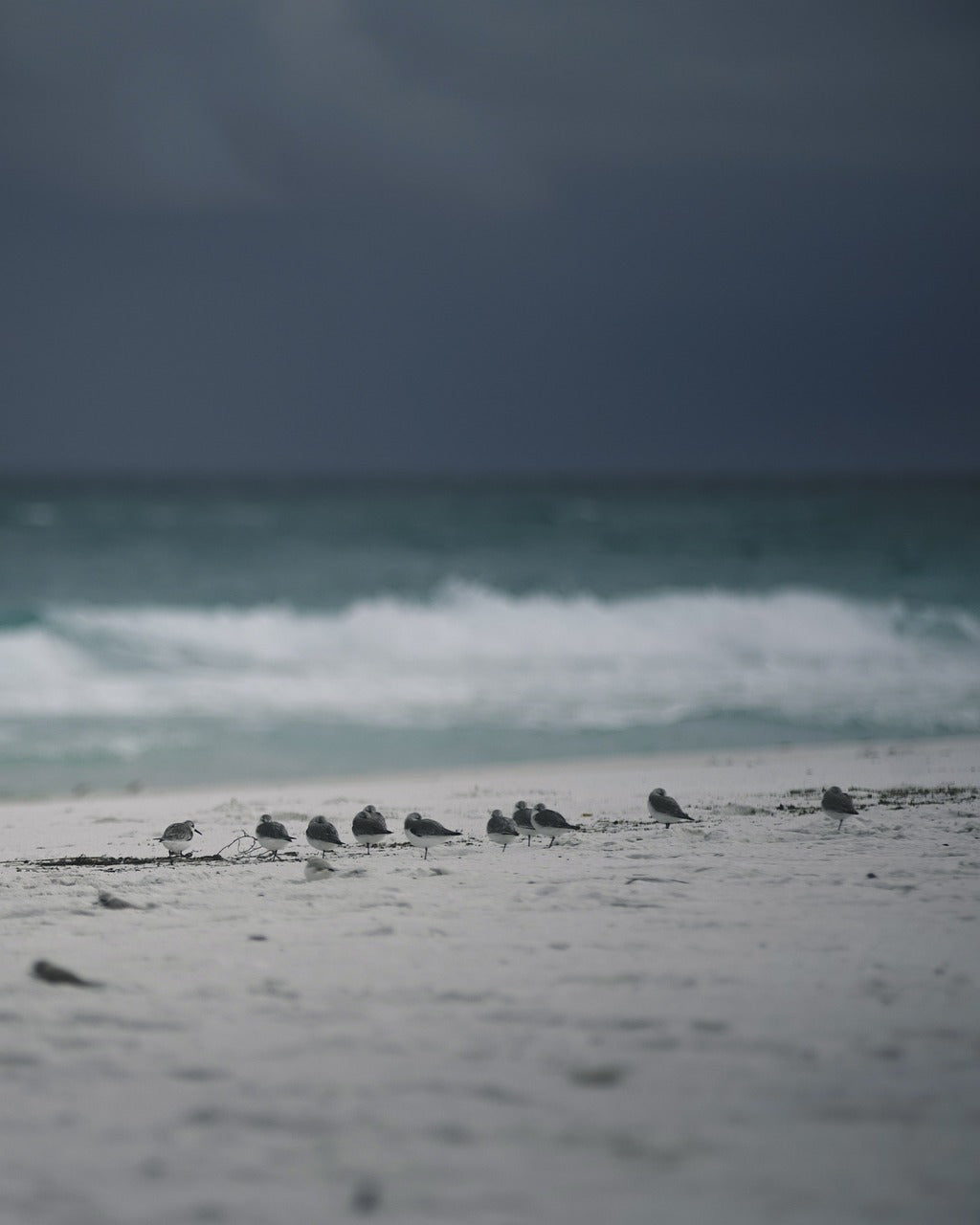 storm, gulf, ocean-5110905.jpg