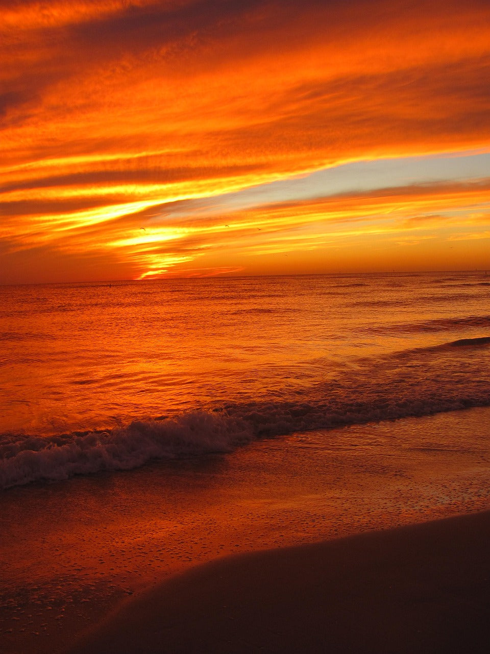 sunset, florida, treasure island-5480513.jpg