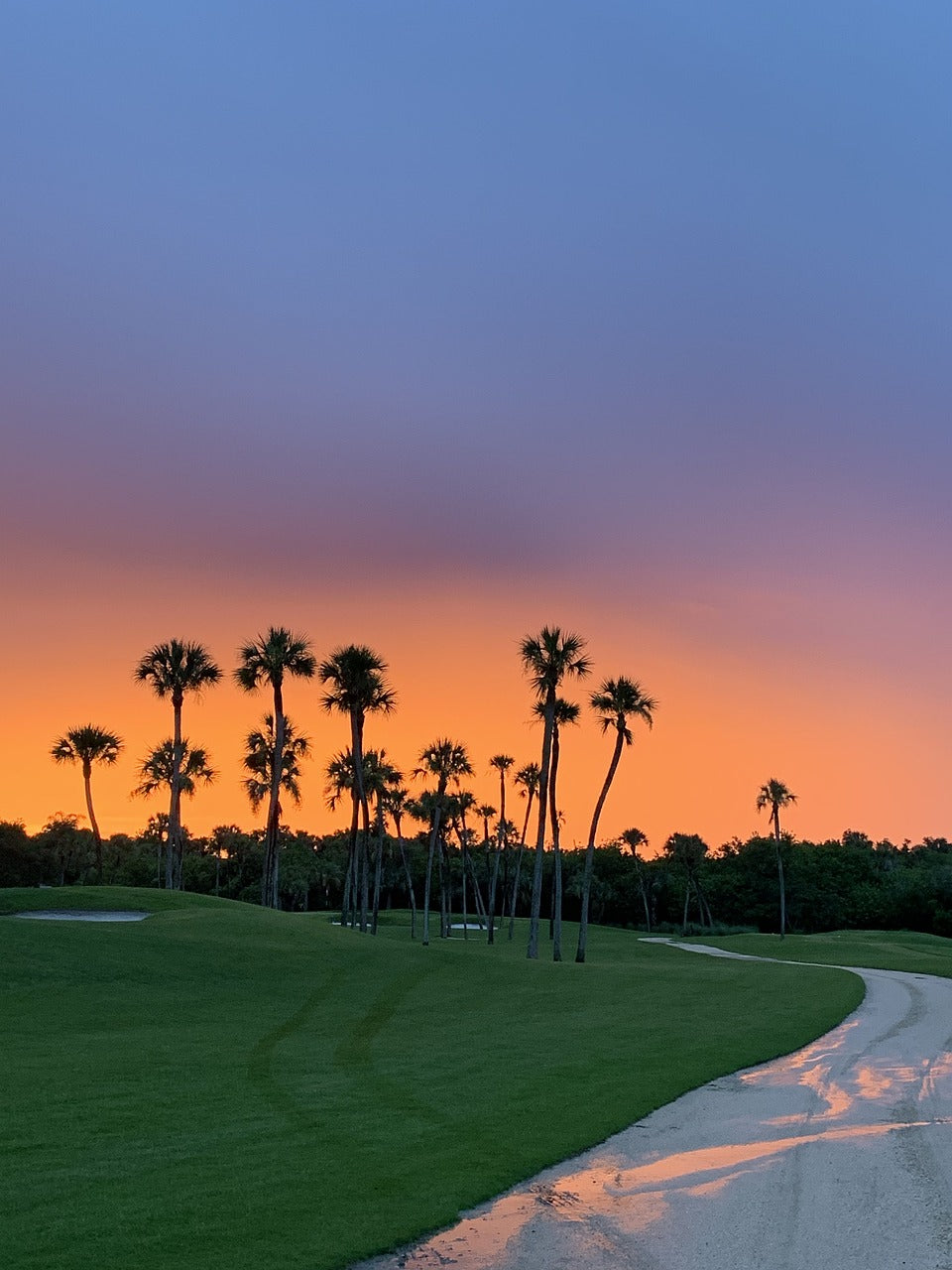 sunset, golf course, florida-4540772.jpg