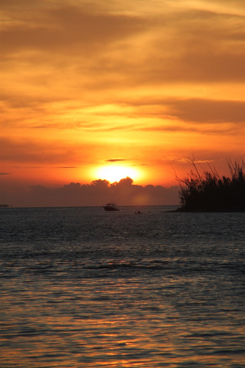 sunset, key west, florida-2344535.jpg