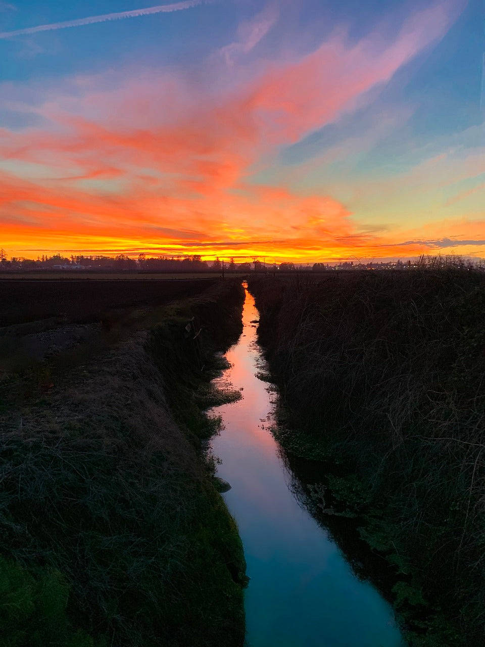 sunset, oregon, nature-7361491.jpg