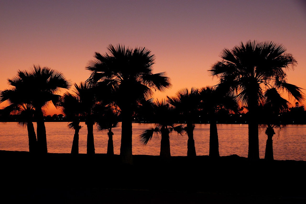 sunset, san diego, california-52933.jpg