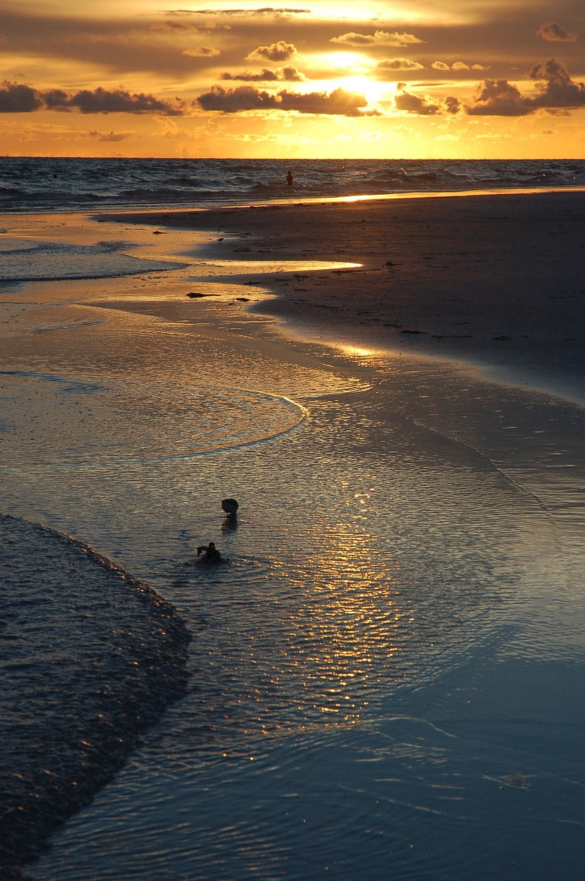 sunset, siesta key, florida-1032606.jpg