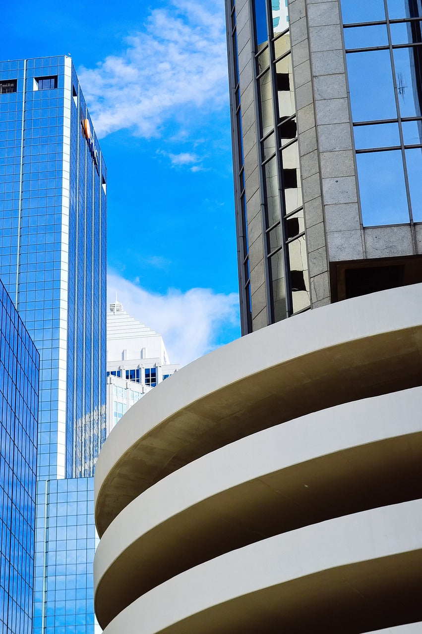 tampa, nature, hillsborough-4817198.jpg