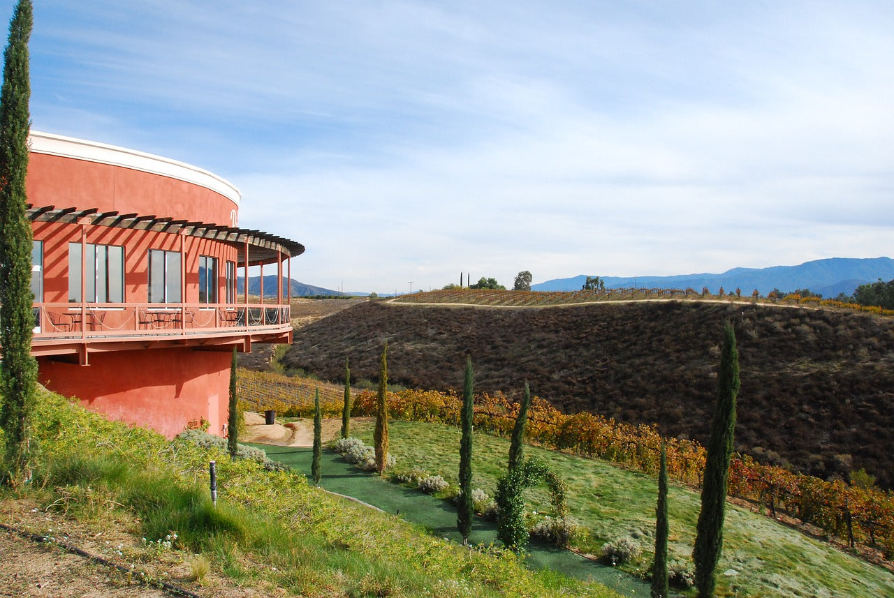 temecula, vineyard, mountain-5035694.jpg