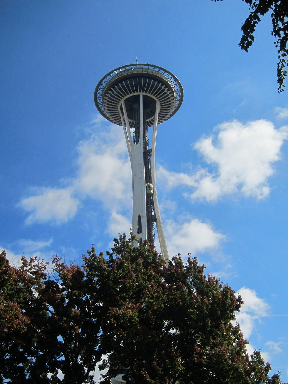 tower, seattle, skyline-4186506.jpg