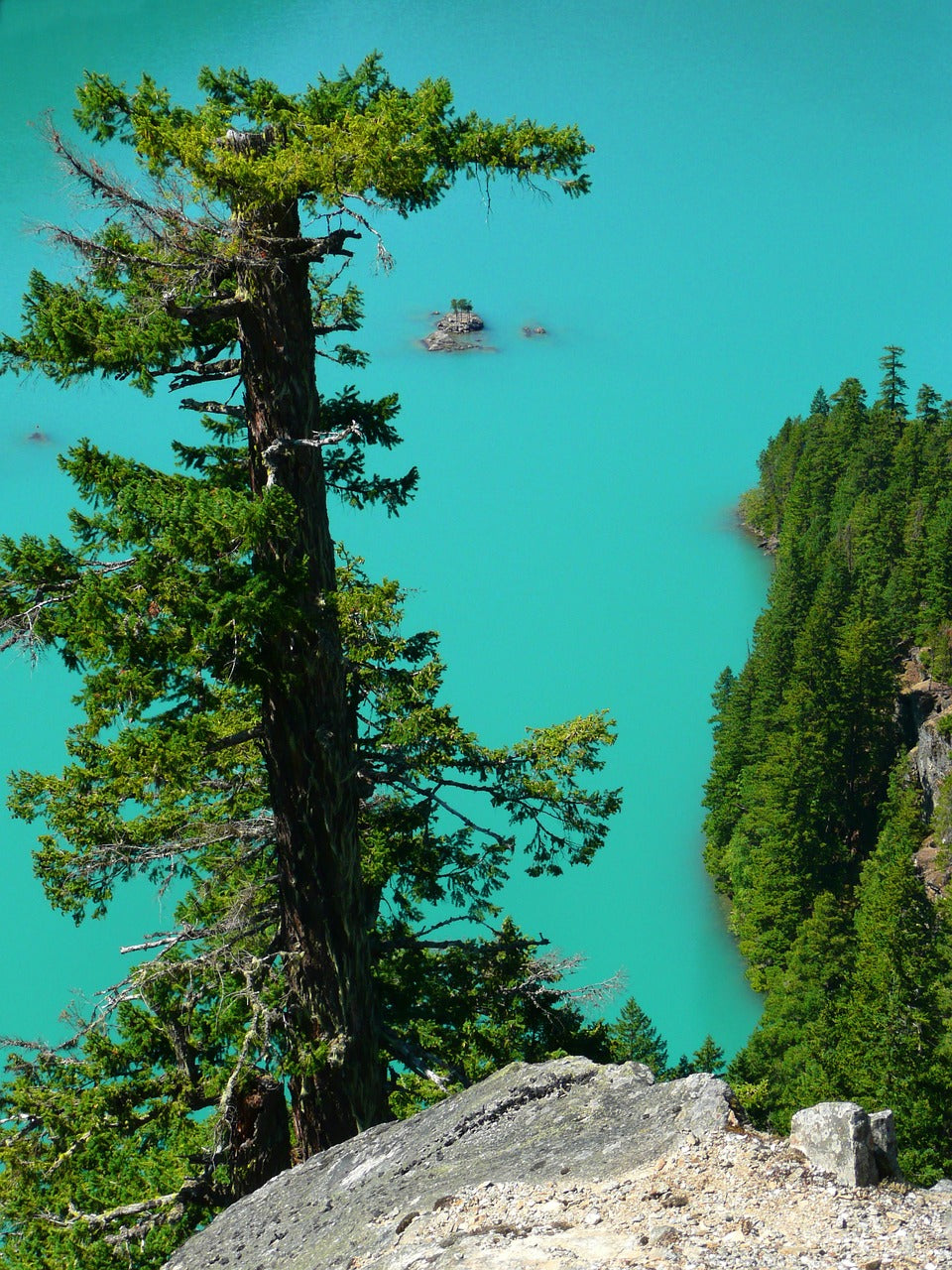 turquoise, ross lake, washington state-56329.jpg