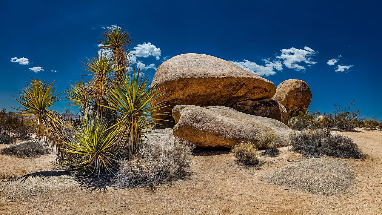 usa, california, yoshua tree national park-2135029.jpg