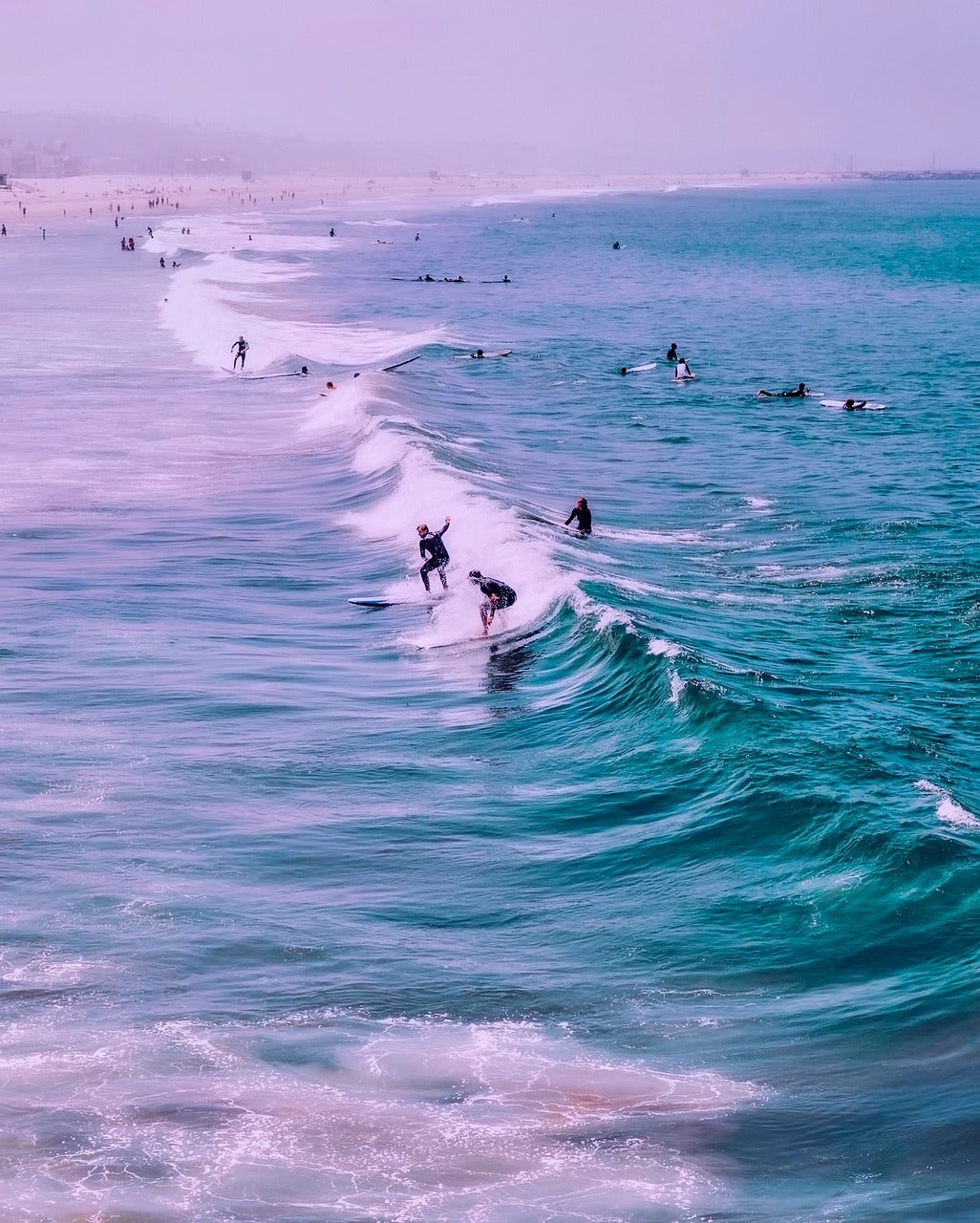 venice beach, california, surfers-2651245.jpg
