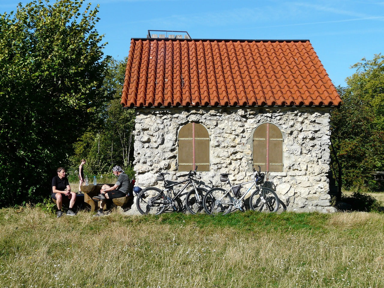 villa mouse, franz-keller-house, hiking hut-59965.jpg