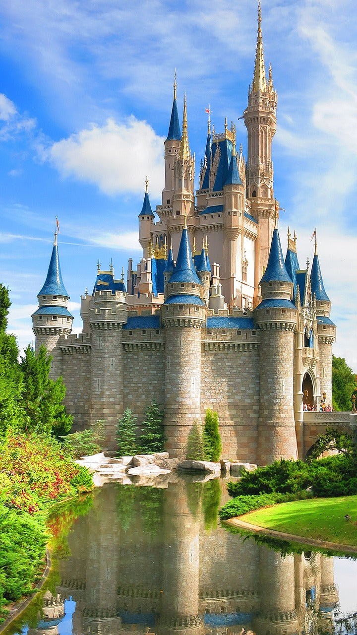 walt disney world, disney, castle-2066168.jpg