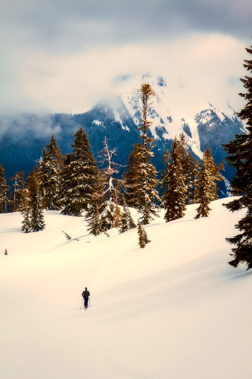 washington, usa, landscape-2553451.jpg
