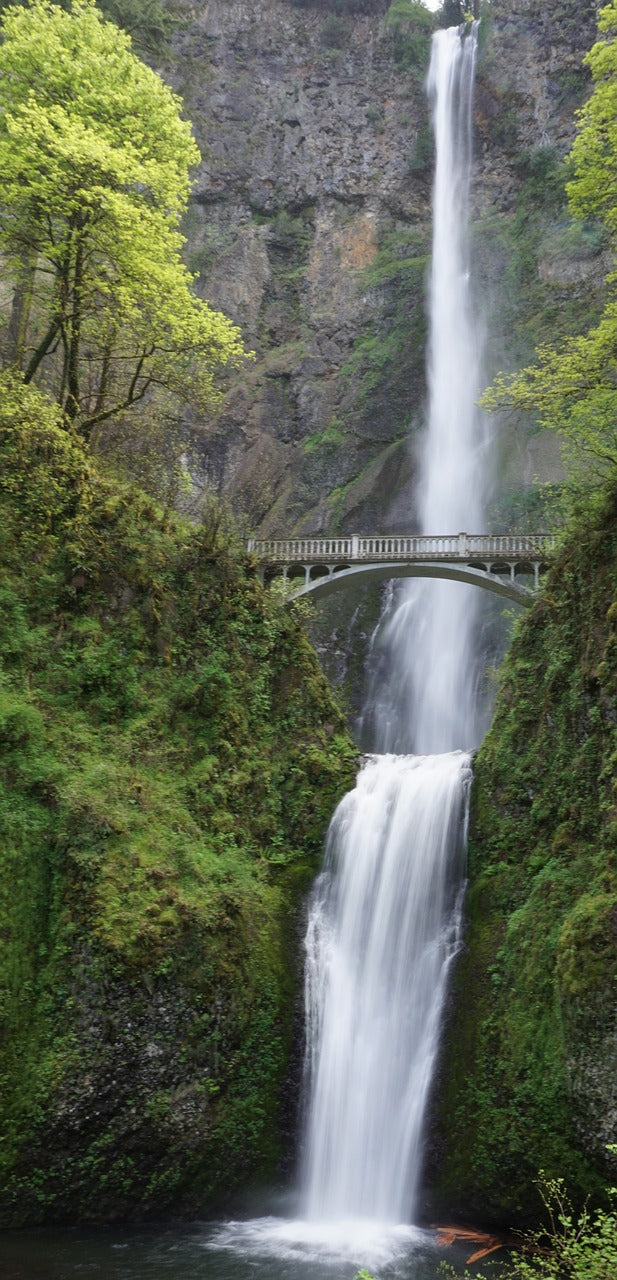 waterfall, bridge, river-6843594.jpg