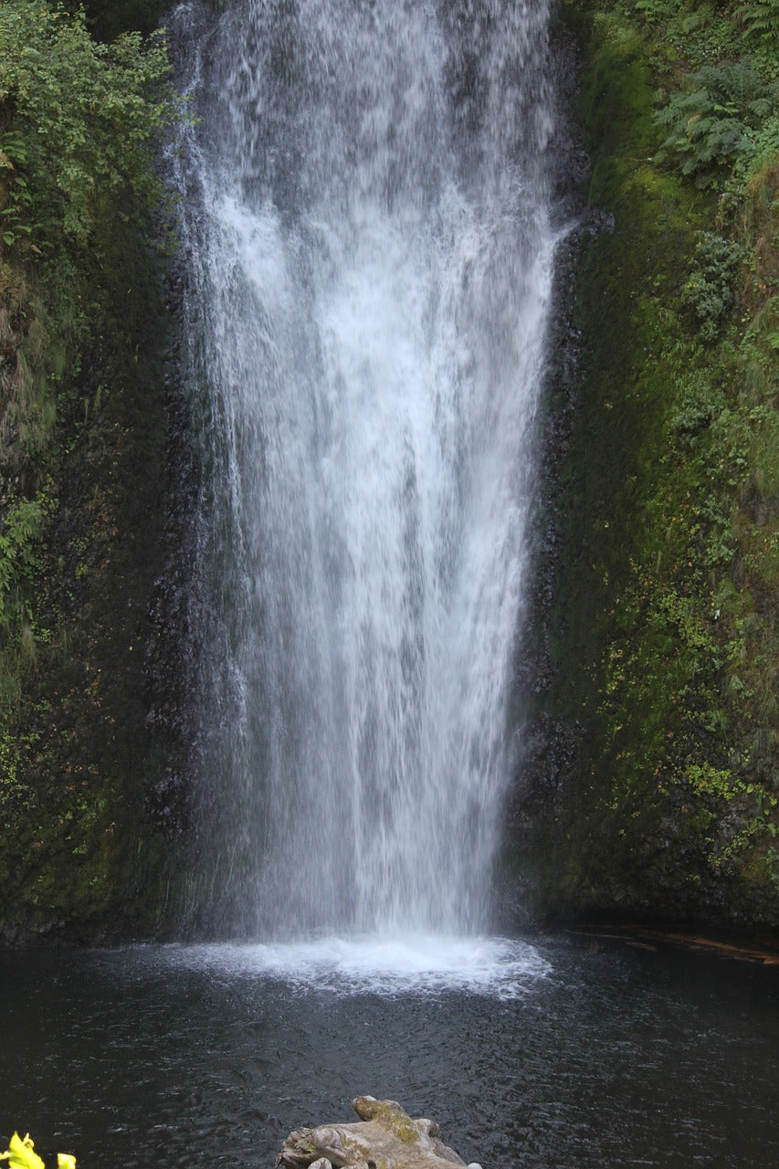 waterfall, oregon, nature-4020926.jpg