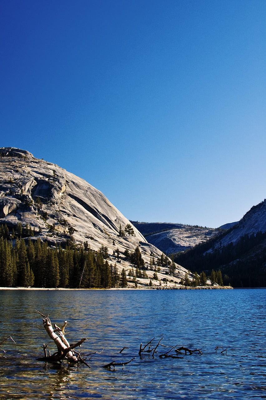yosemite, national park, california-4281548.jpg