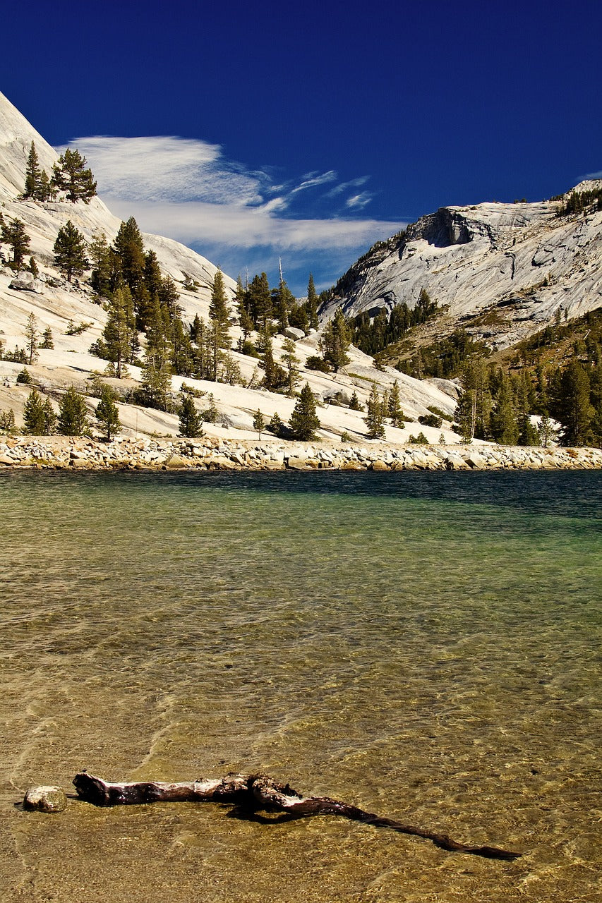 yosemite, national park, california-4281555.jpg