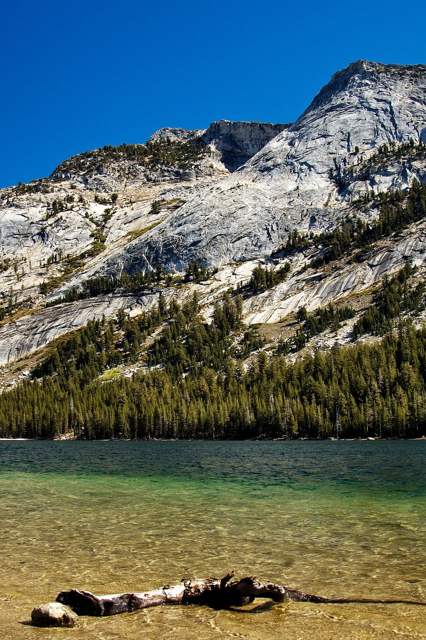 yosemite, national park, california-4281556.jpg