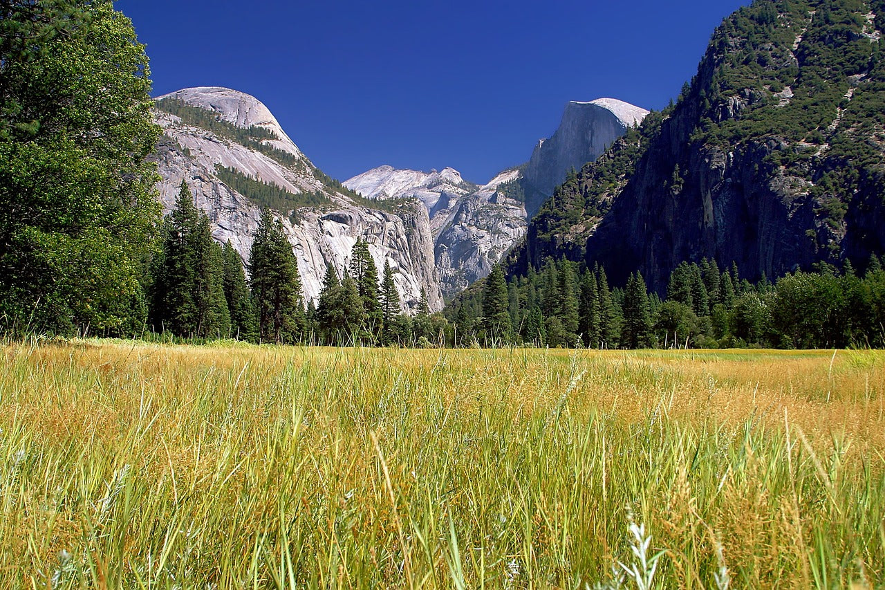 yosemite national park, landscape, field-90788.jpg