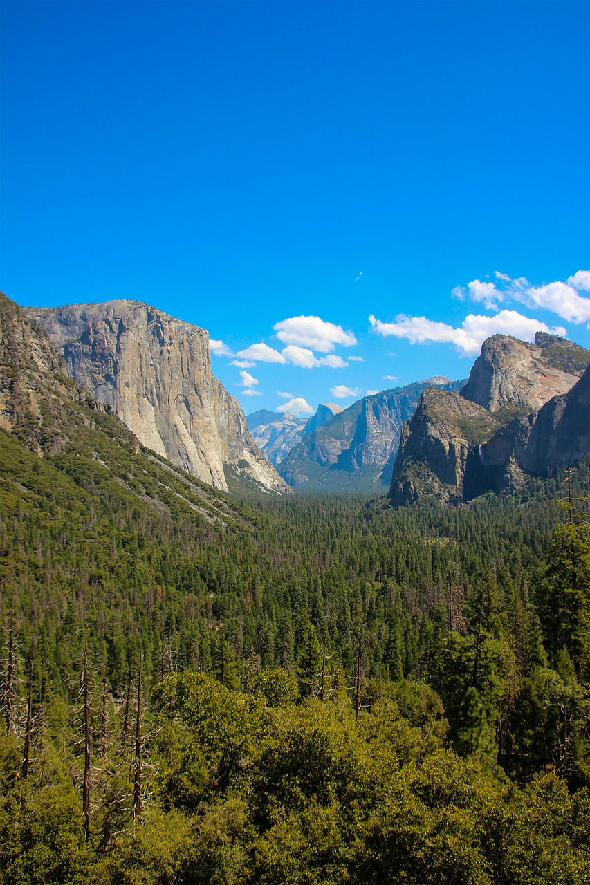 yosemite, yosemite national park, valley-5389082.jpg