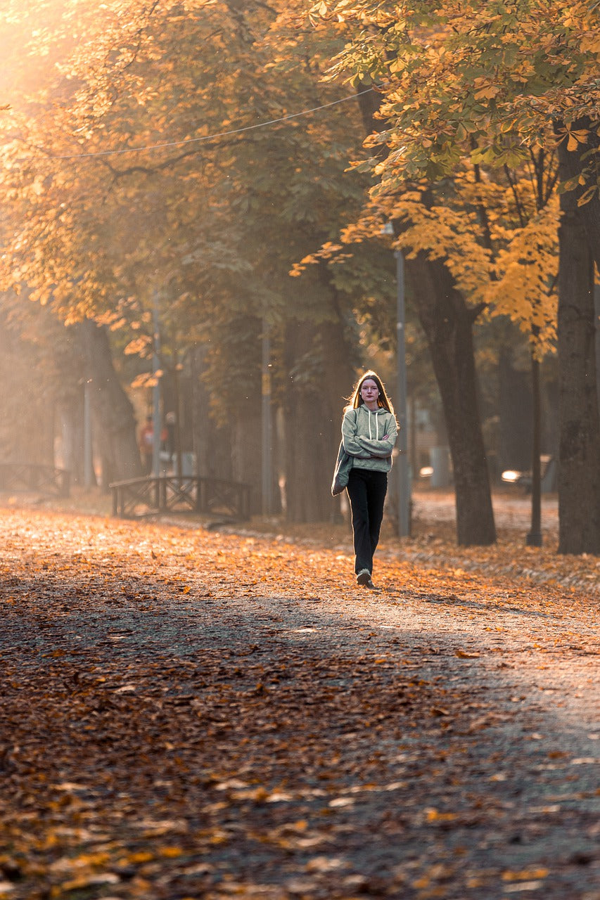 autumn, park, golden hour-7569704.jpg