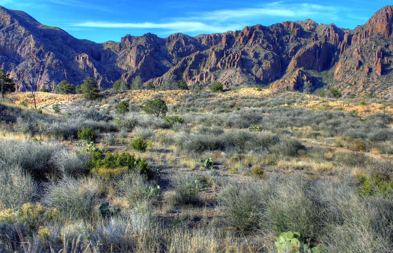 big bend national park, texas, usa-347396.jpg