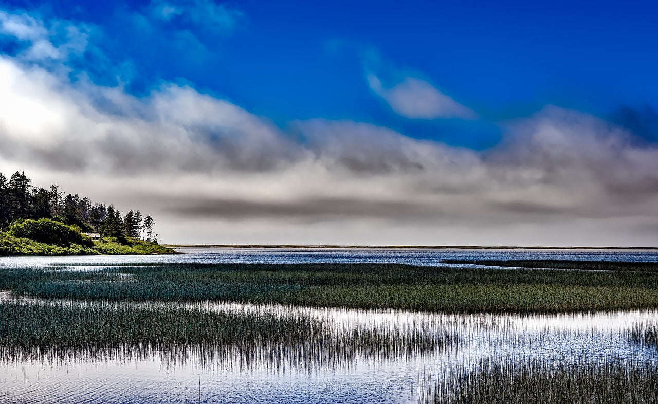 big lagoon park, california, sea-1770166.jpg