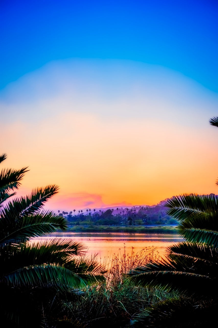 california, landscape, palm trees-2530233.jpg