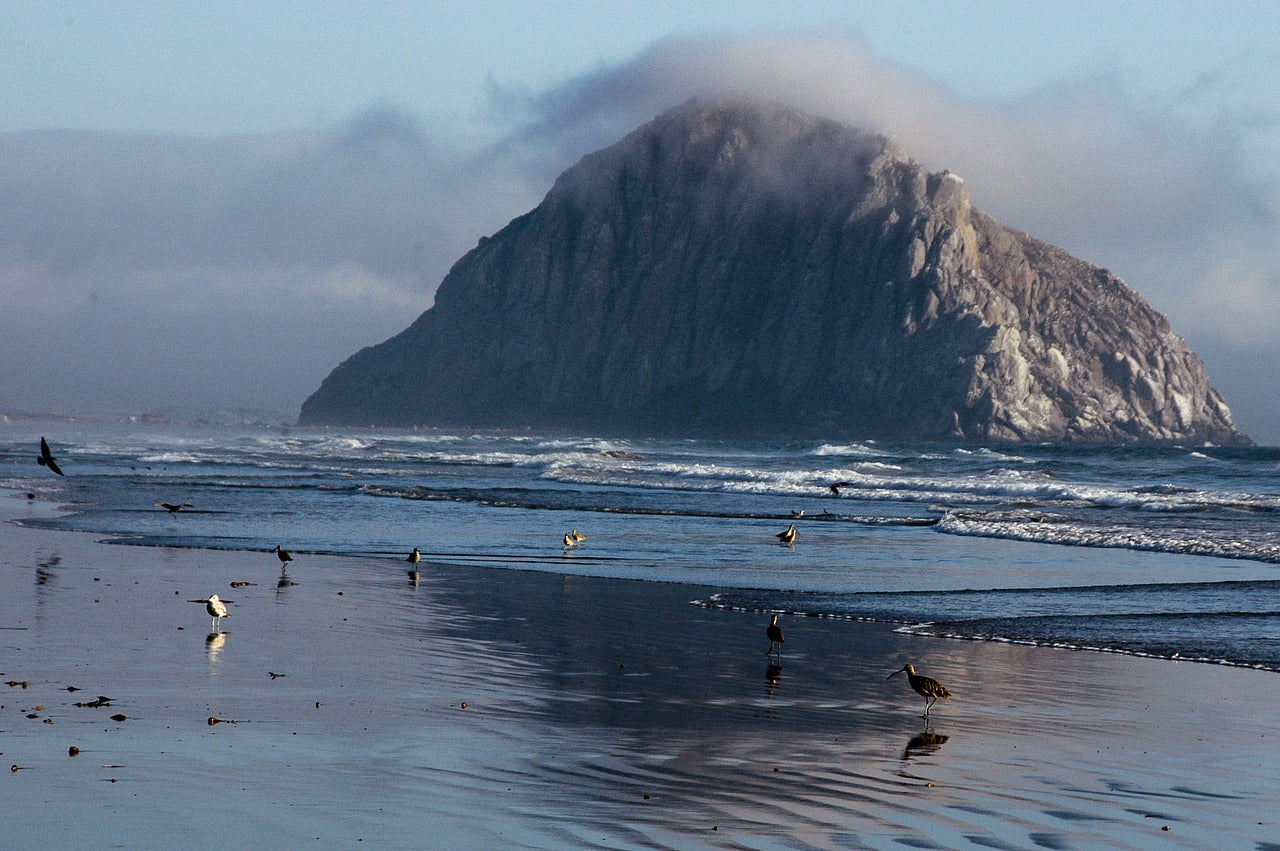 california, nature reserve, pacific-1127621.jpg