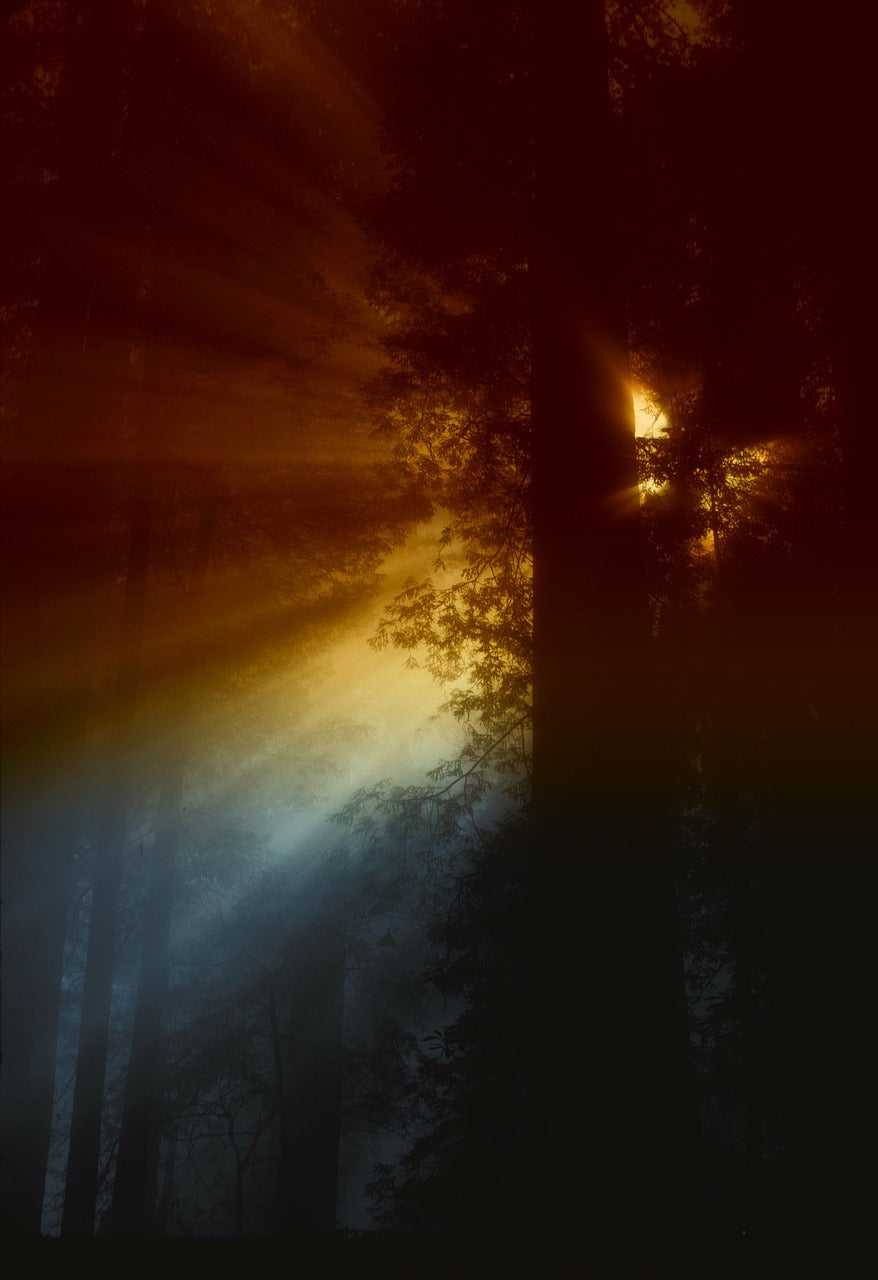 california, sun, rays-140113.jpg