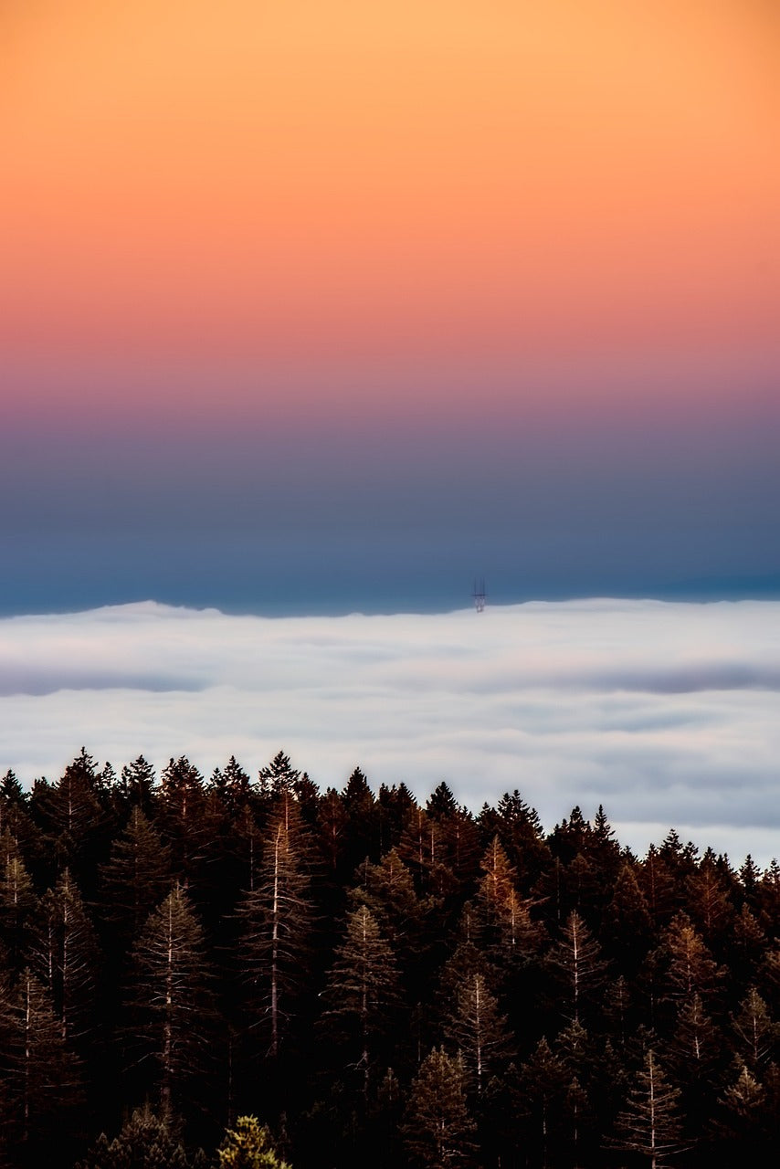 california, sunrise, landscape-2707458.jpg