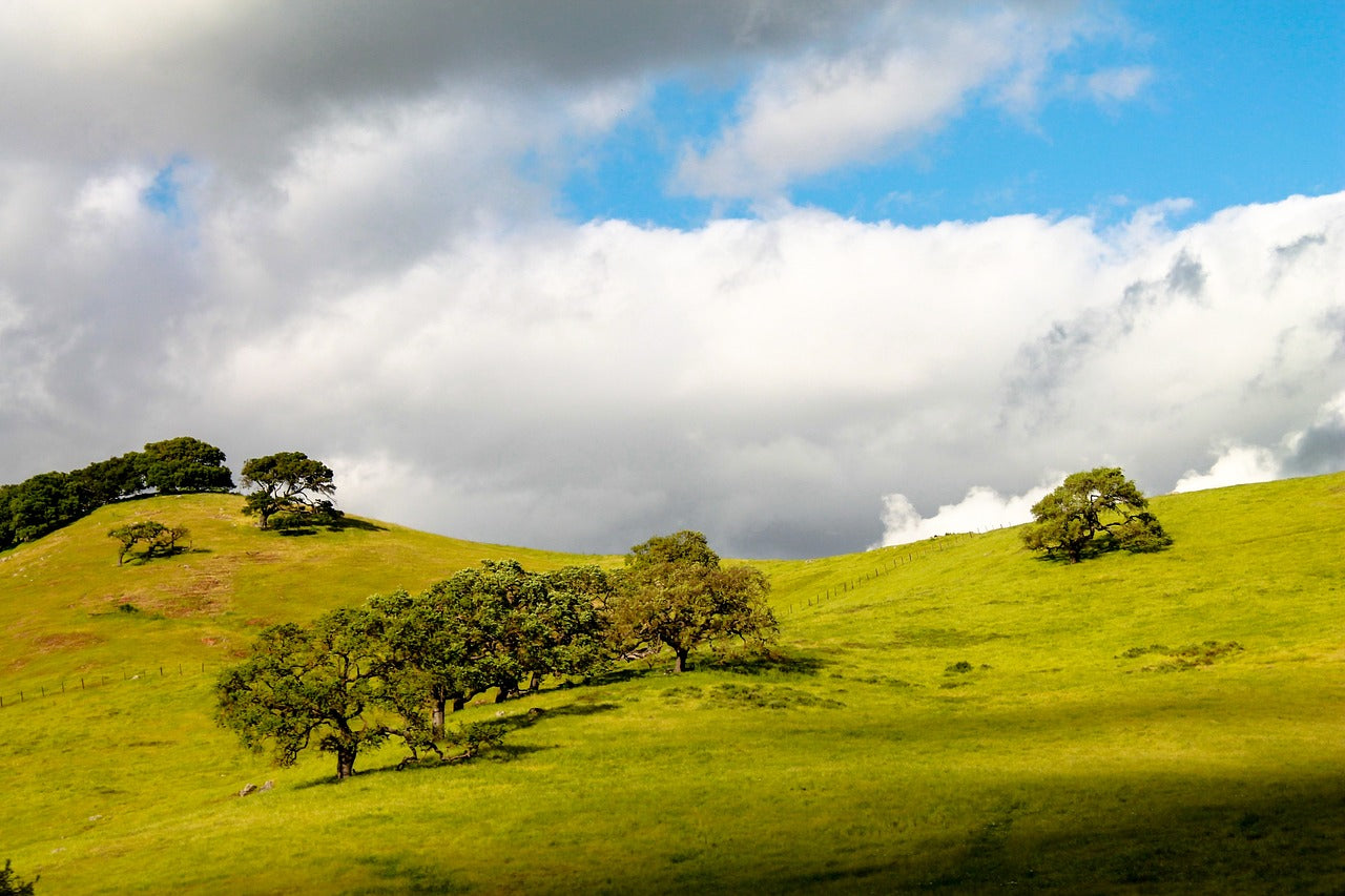 california, usa, hills-2291399.jpg
