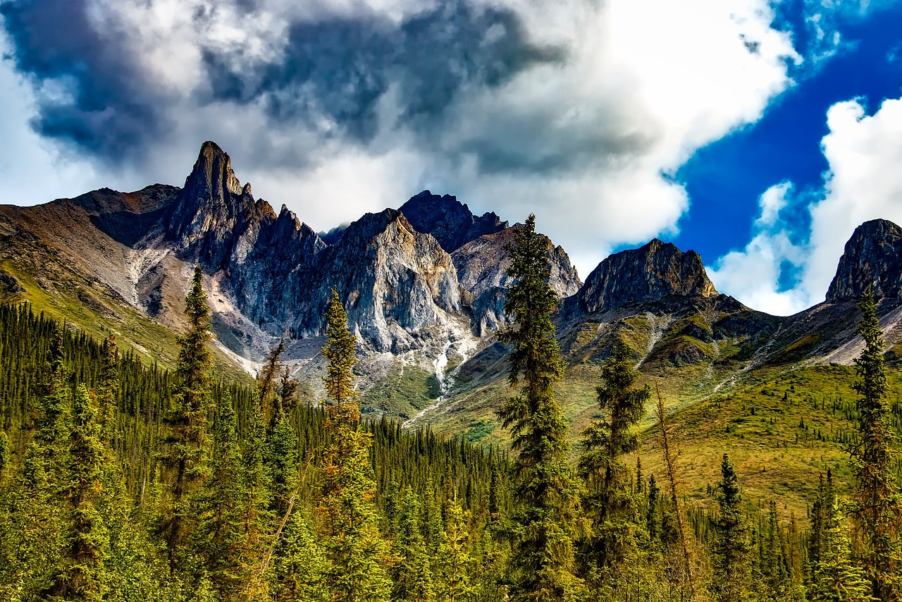 california, yosemite, national park-1775875.jpg