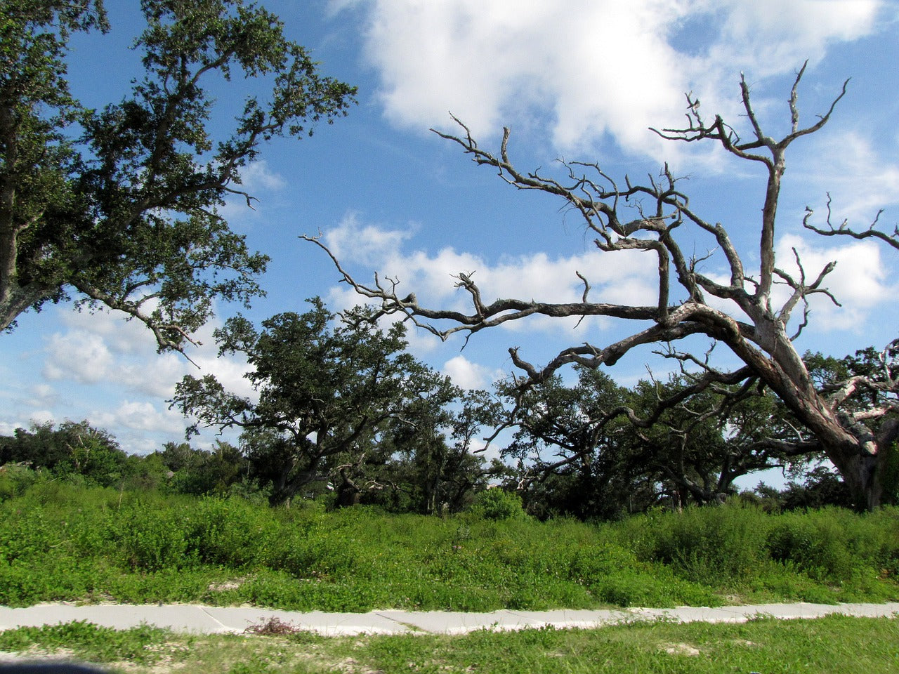 gulf, coast, mississipppi-54469.jpg