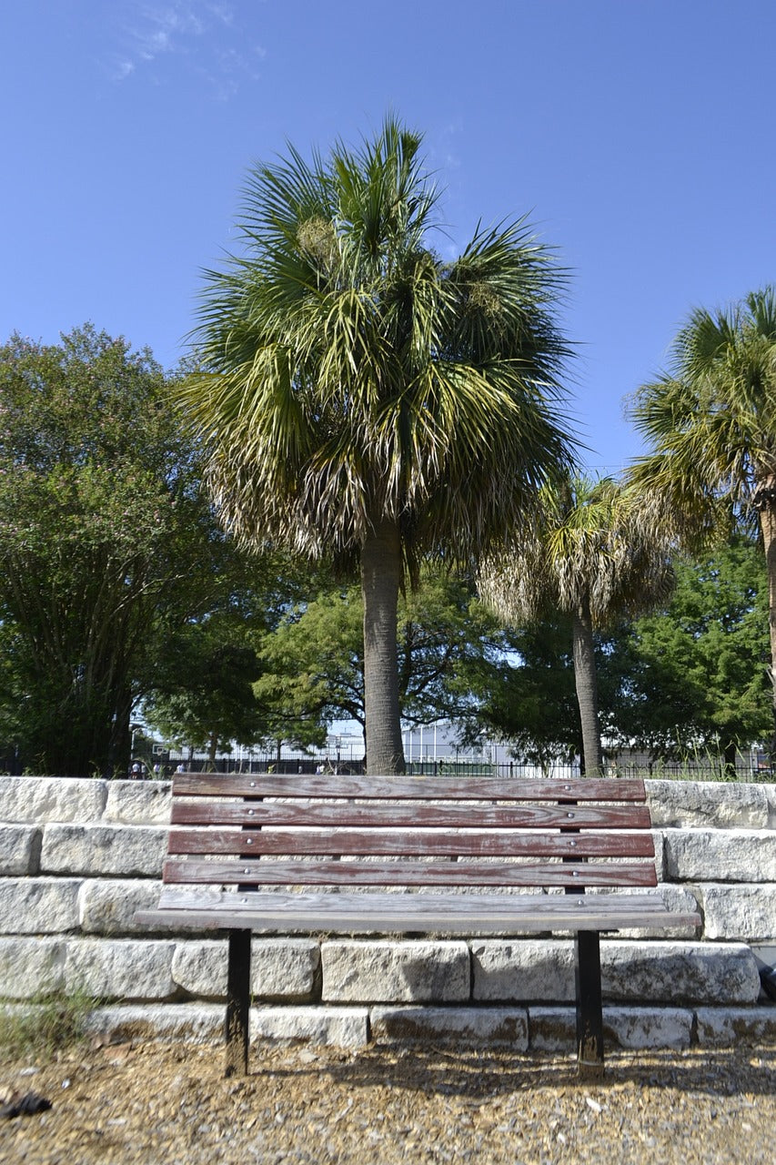 houston texas playground bench, park bench, bench-2734531.jpg