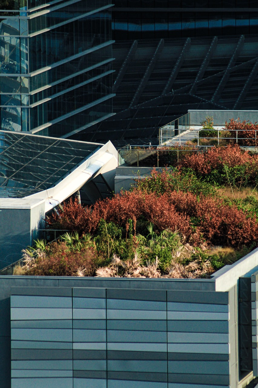 miami, metropolitan, downtown-5165075.jpg