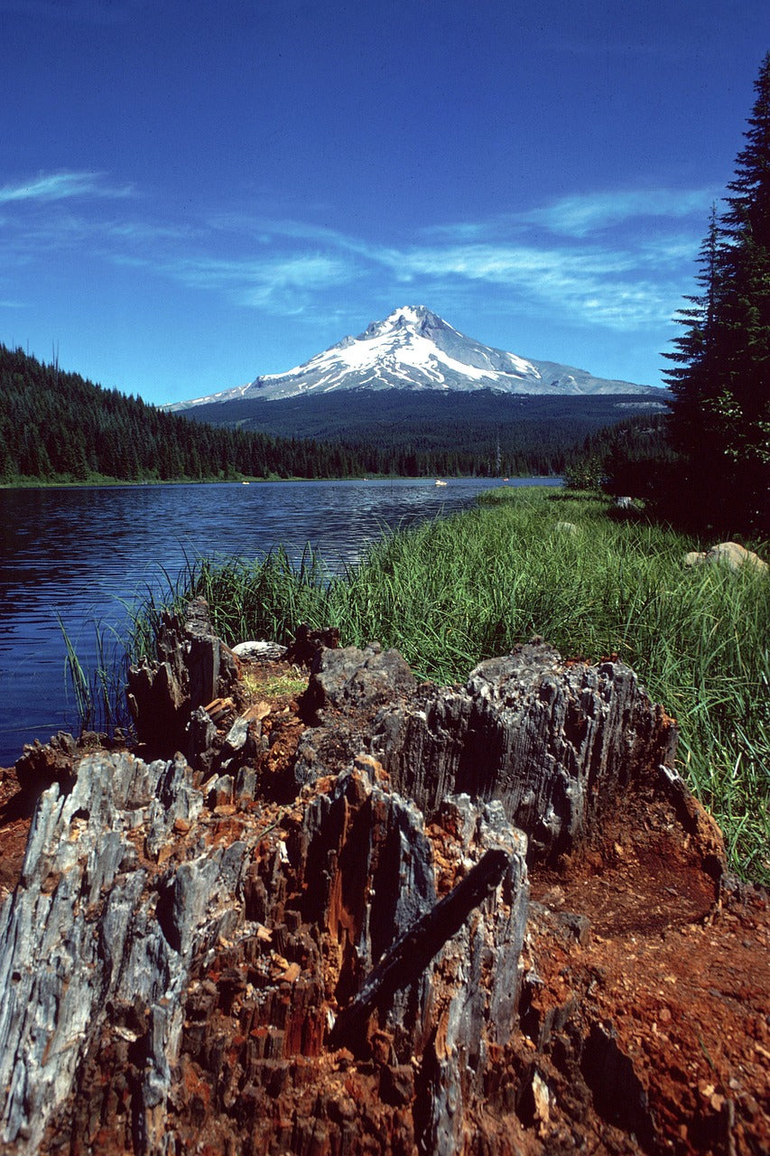 mount hood, mountain, nature-5357137.jpg