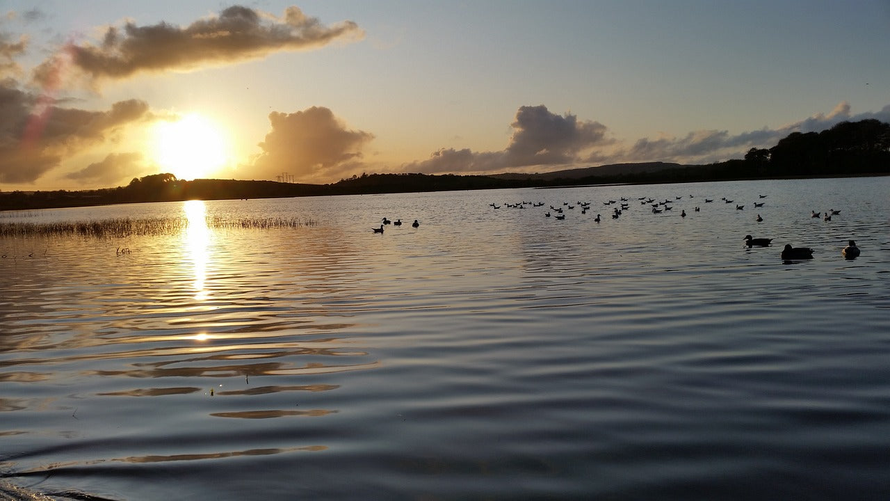 oasis, lake, nature-7233908.jpg