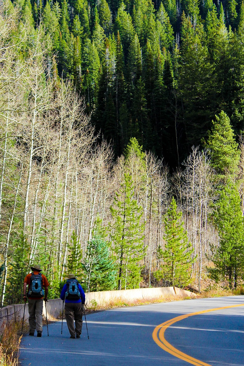 old people, mountains, fall-1743589.jpg