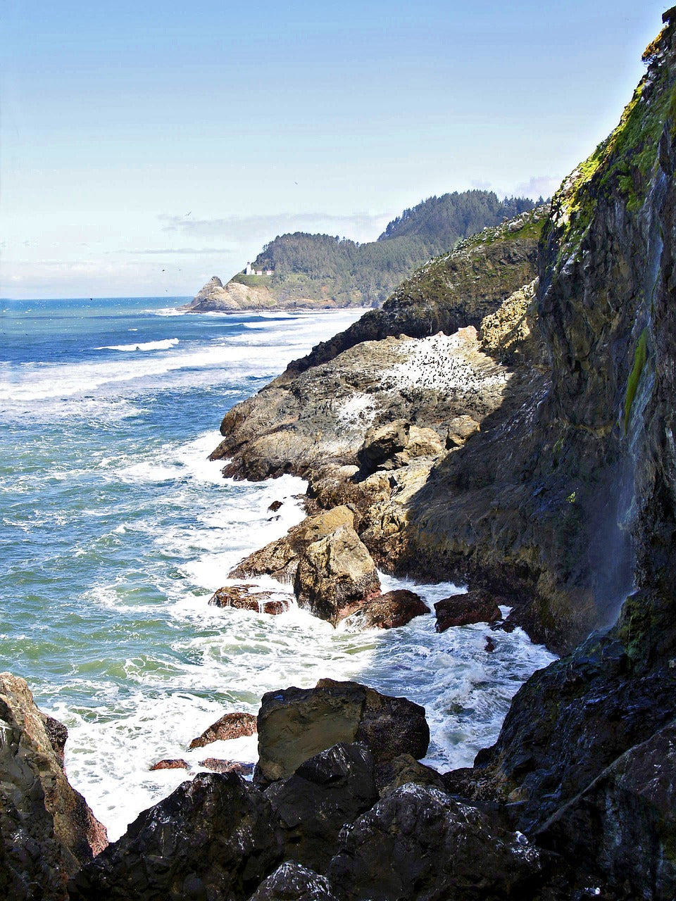oregon, nature, usa-51094.jpg