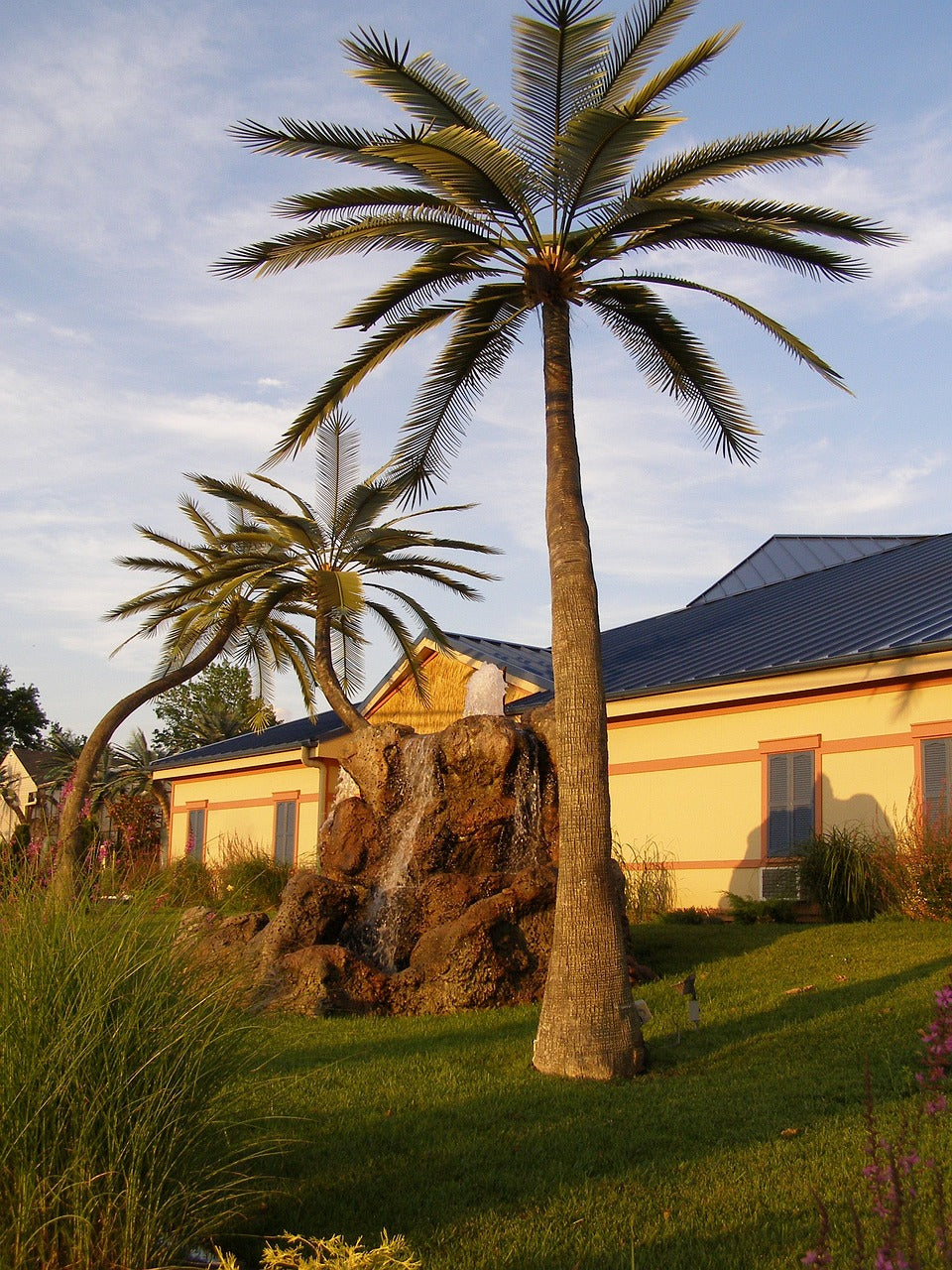 palm trees, wildwood inn, kentucky-2121641.jpg