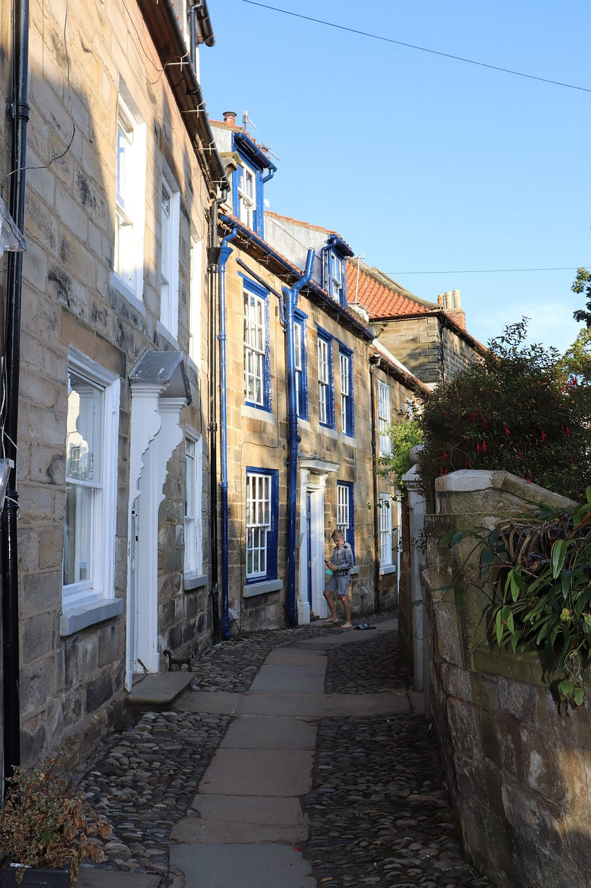 houses, row of houses, robin hood's bay-4556995.jpg
