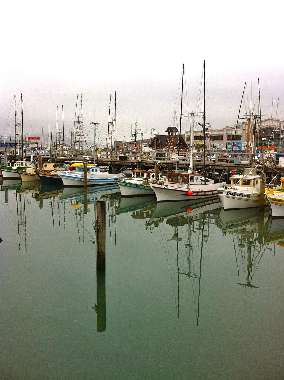 san francisco, california, bay-92445.jpg